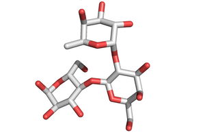 2'FL 2FL 2'fucosyllactose HMO human milk oligosaccharide